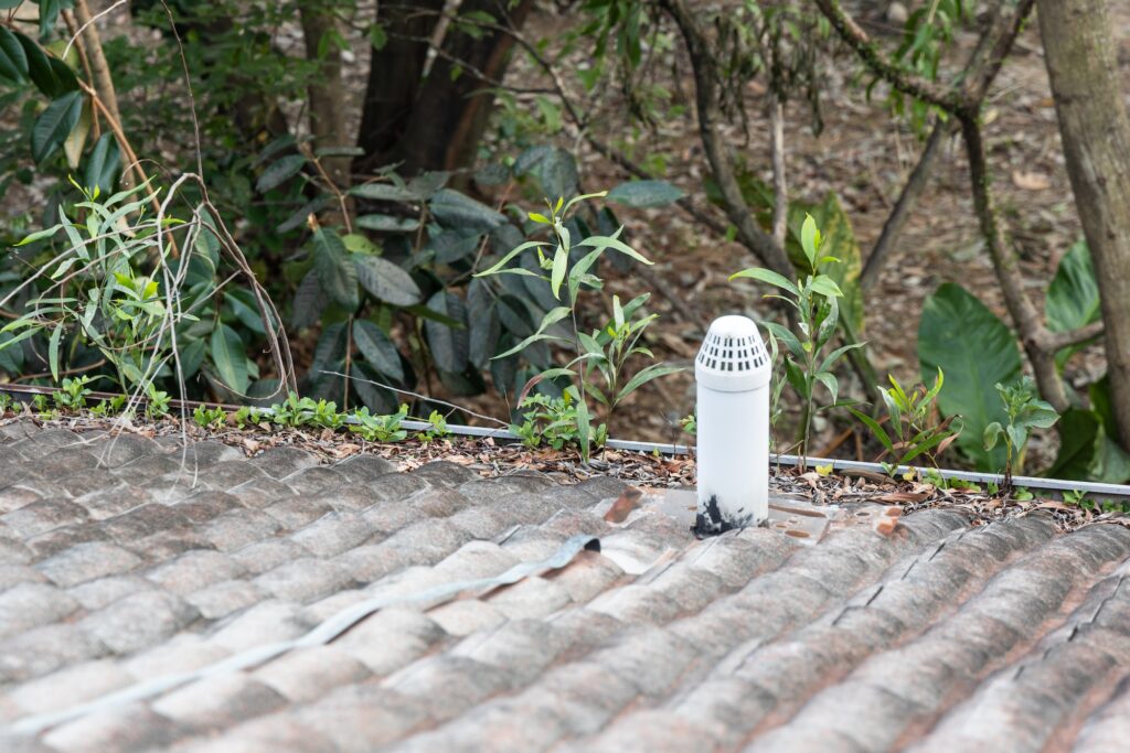 Clogged roof rain gutter full of dry leaf and plant growing in it