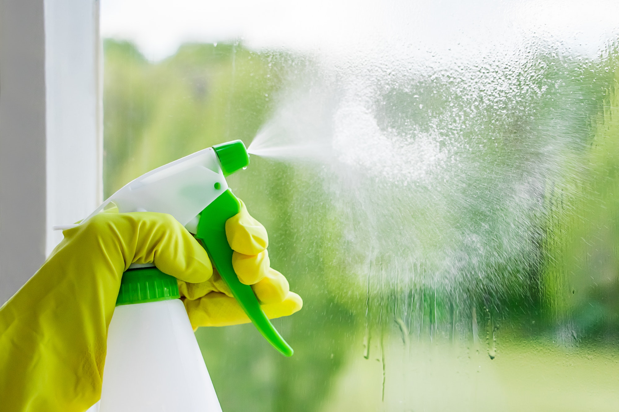 Window cleaning. A woman sprays a cleaner on glass.