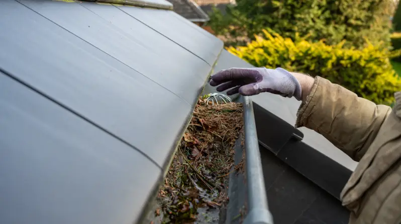 The Benefits of Regular Gutter Cleaning
