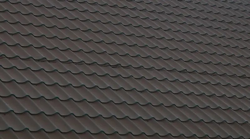 roof cleaning tips​