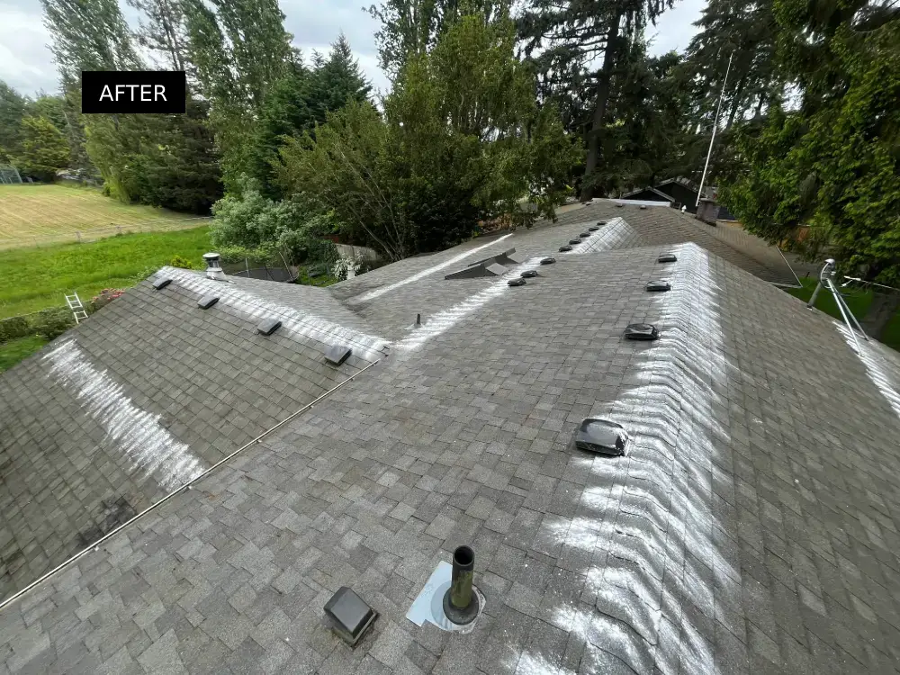 After roof cleaning service