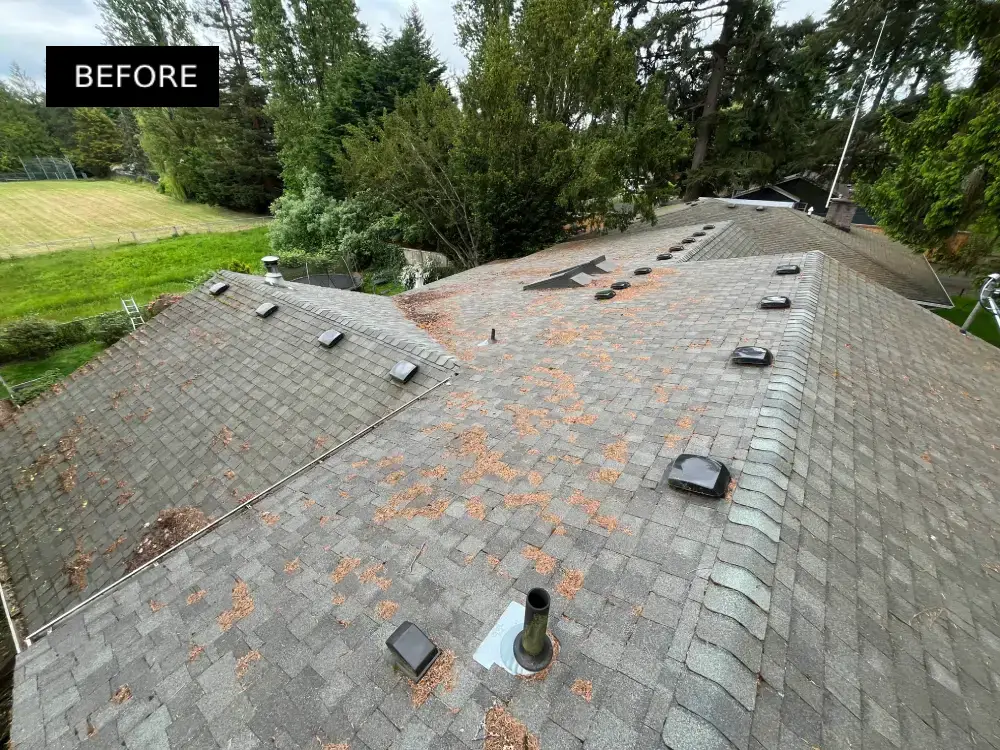 Before roof cleaning service