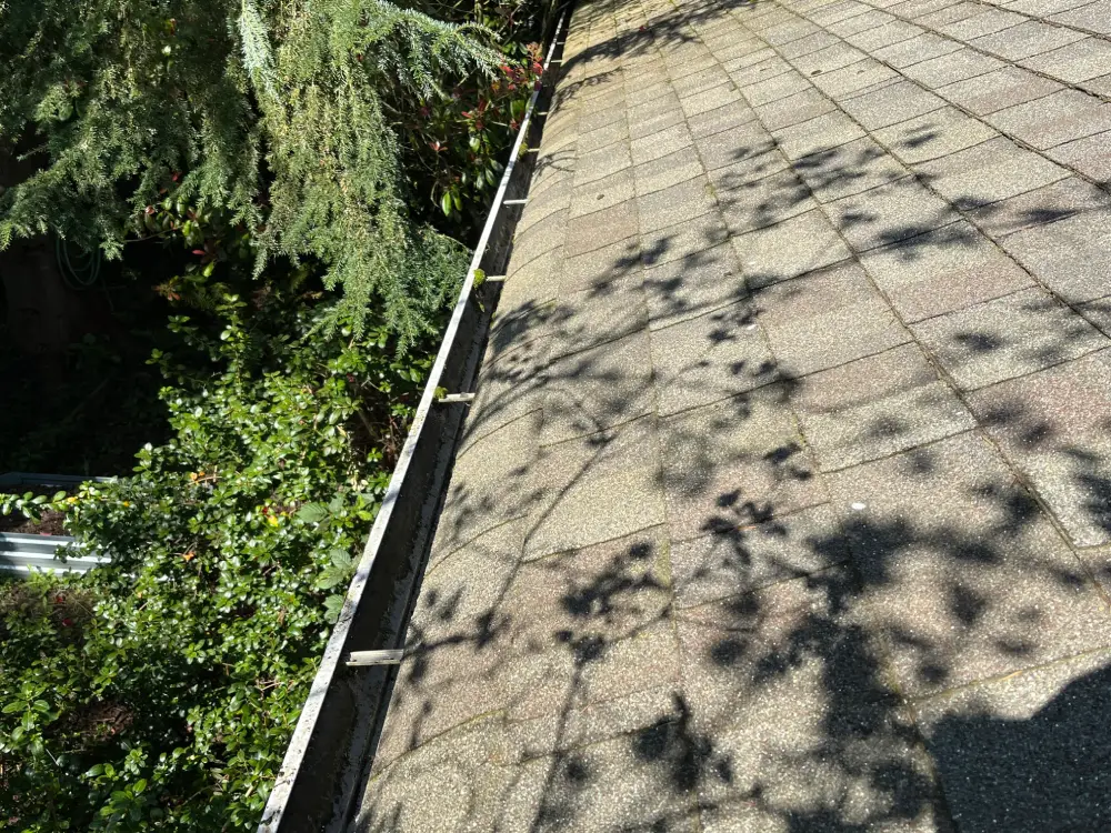 Clear gutters on a house roof after a professional gutter cleaning service, ensuring proper water drainage and protection.