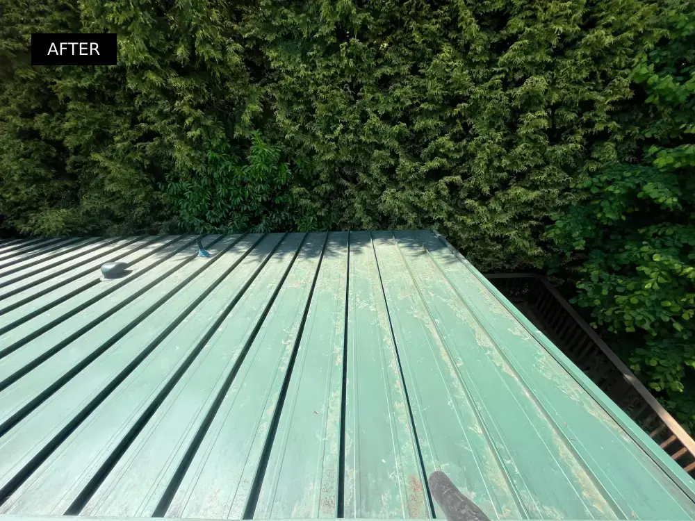 Clean green metal roof free of debris and buildup, showing the improved condition after roof cleaning was completed.