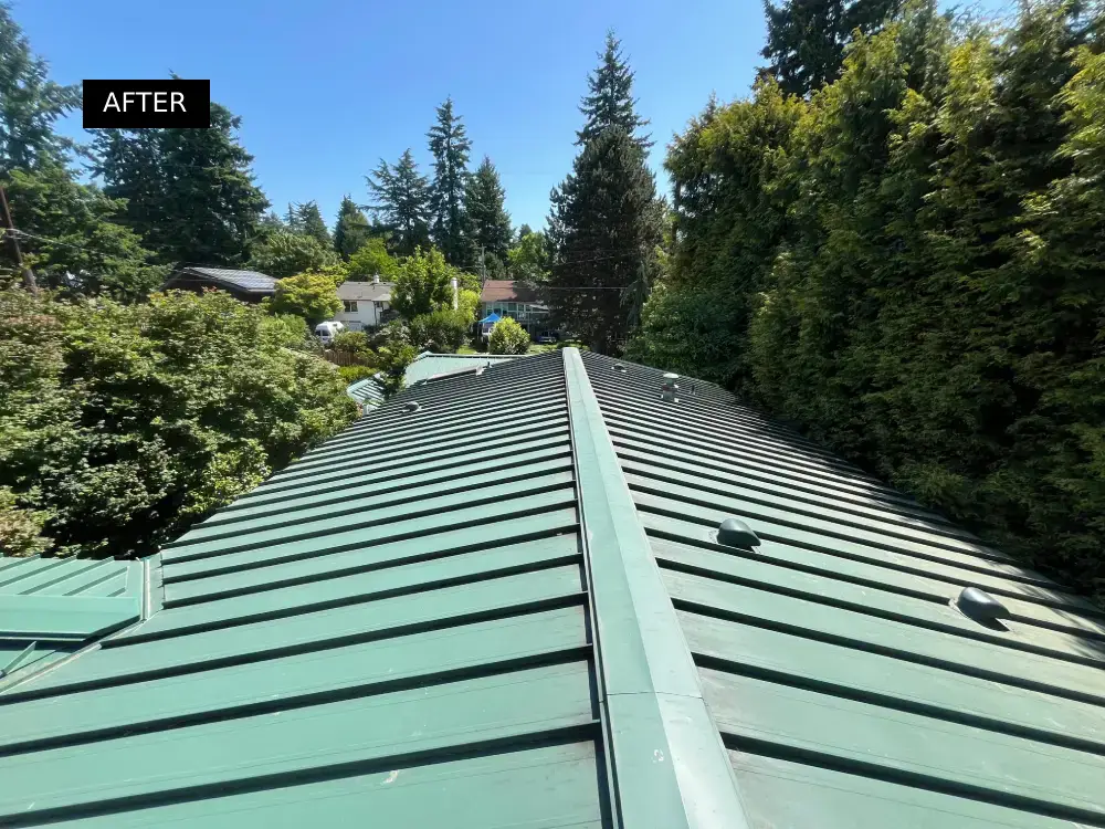 Clear view of a green metal roof with no debris, showing spotless results after roof cleaning on a bright sunny day.