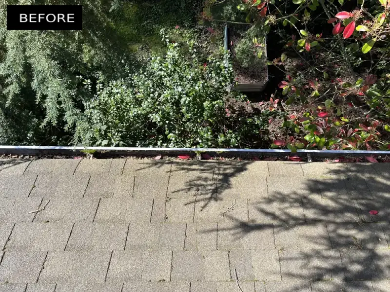 Gutter filled with debris and leaves before gutter cleaning, showing the need for maintenance to improve drainage and function.