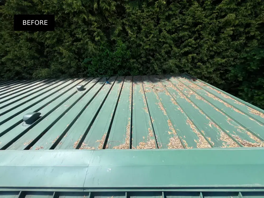 Green metal roof with pine needles and debris buildup, clearly showing the condition before roof cleaning was performed.
