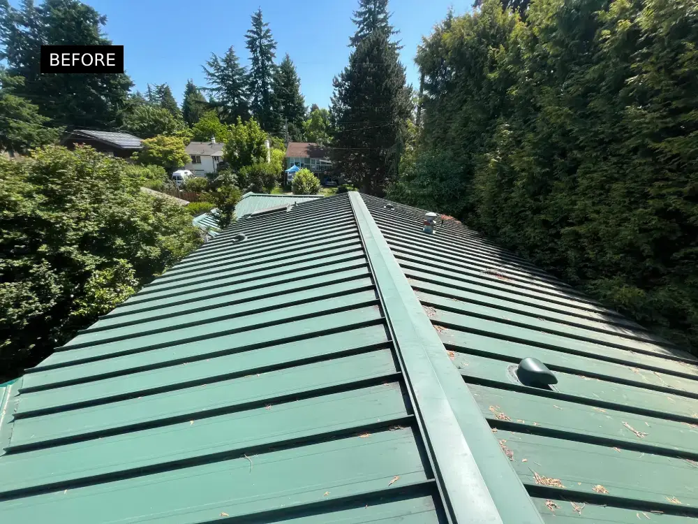 Top view of a green metal roof with scattered debris and pine needles, taken before roof cleaning on a sunny day.
