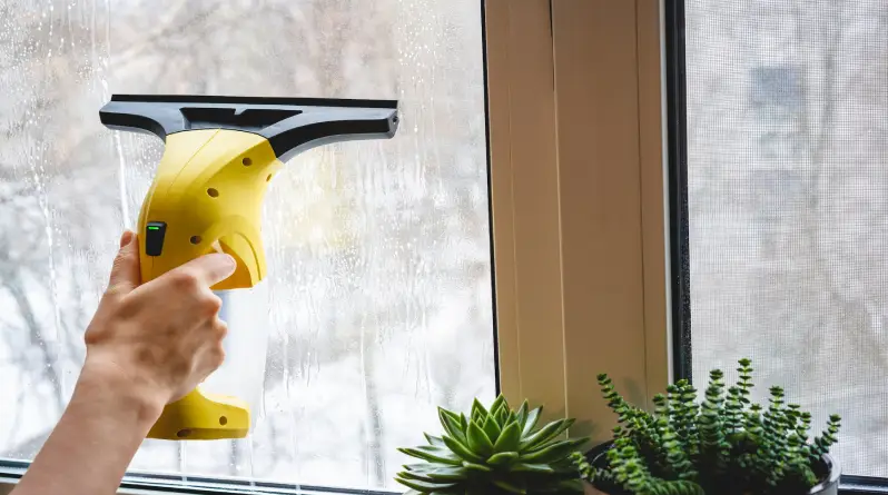 benefits of professional window cleaning