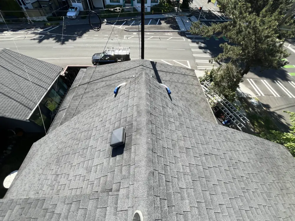 Roof Moss Removal & Treatment