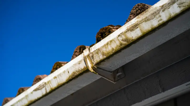 how to clean gutters from the ground