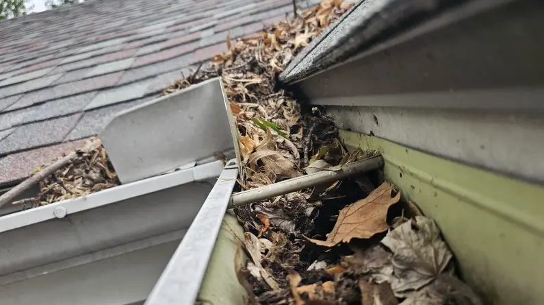 roof and gutter cleaning
