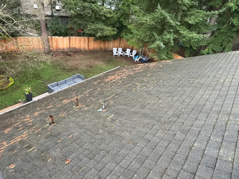 Roof and Gutter Cleaning Seattle